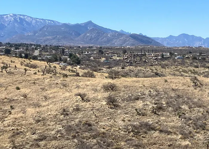 Pink Flamingo Ranch Oracle